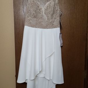 White and Gold dress